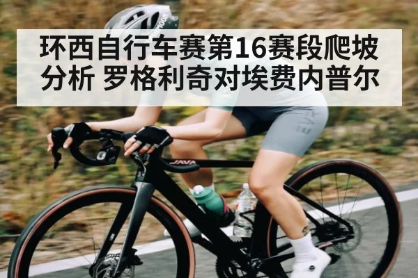 环西自行车赛第16赛段爬坡分析 罗格利奇对埃费内普尔